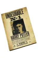 Тефтер Harry Potter - Undesirable No 1 3D